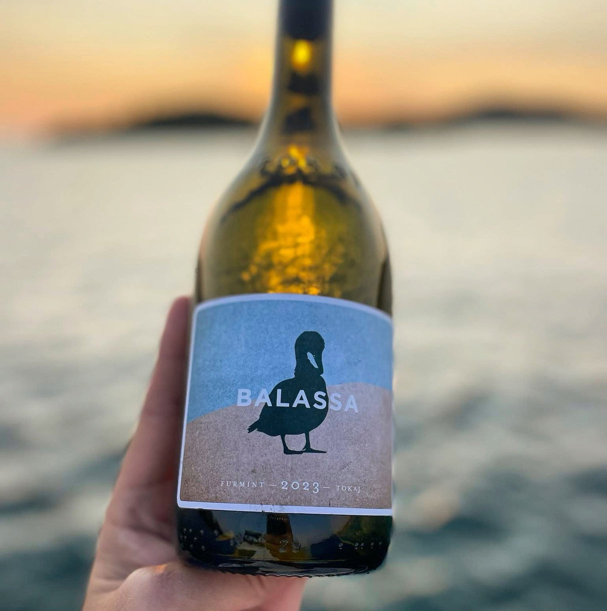 A Tokaji Furmint Hungarian white wine with the image of a duck on the label.