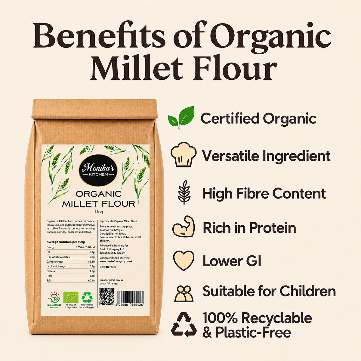 An infographic showing the uses and the health and nutritional benefits of eating organic millet flour.