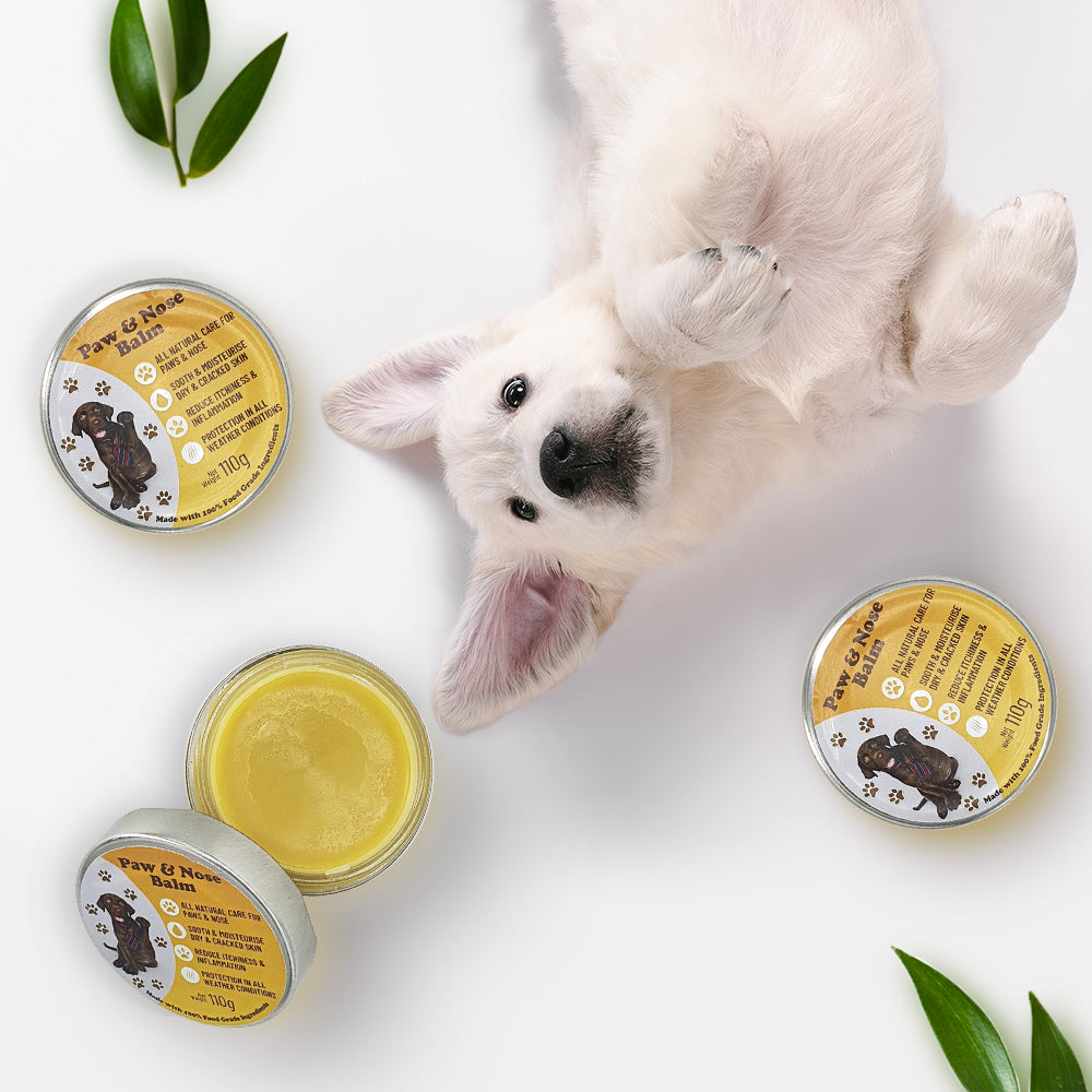 The best natural dog paw and nose balm moisturising cream.