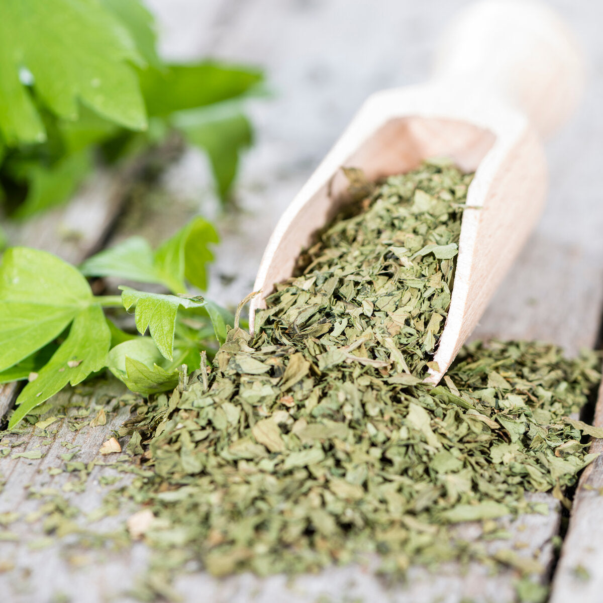 Dried lovage in a wooden scoop with fresh leaves on a wooden surface.