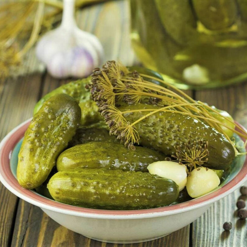 A plate of fermented cucumber pickles with garlic and dill.