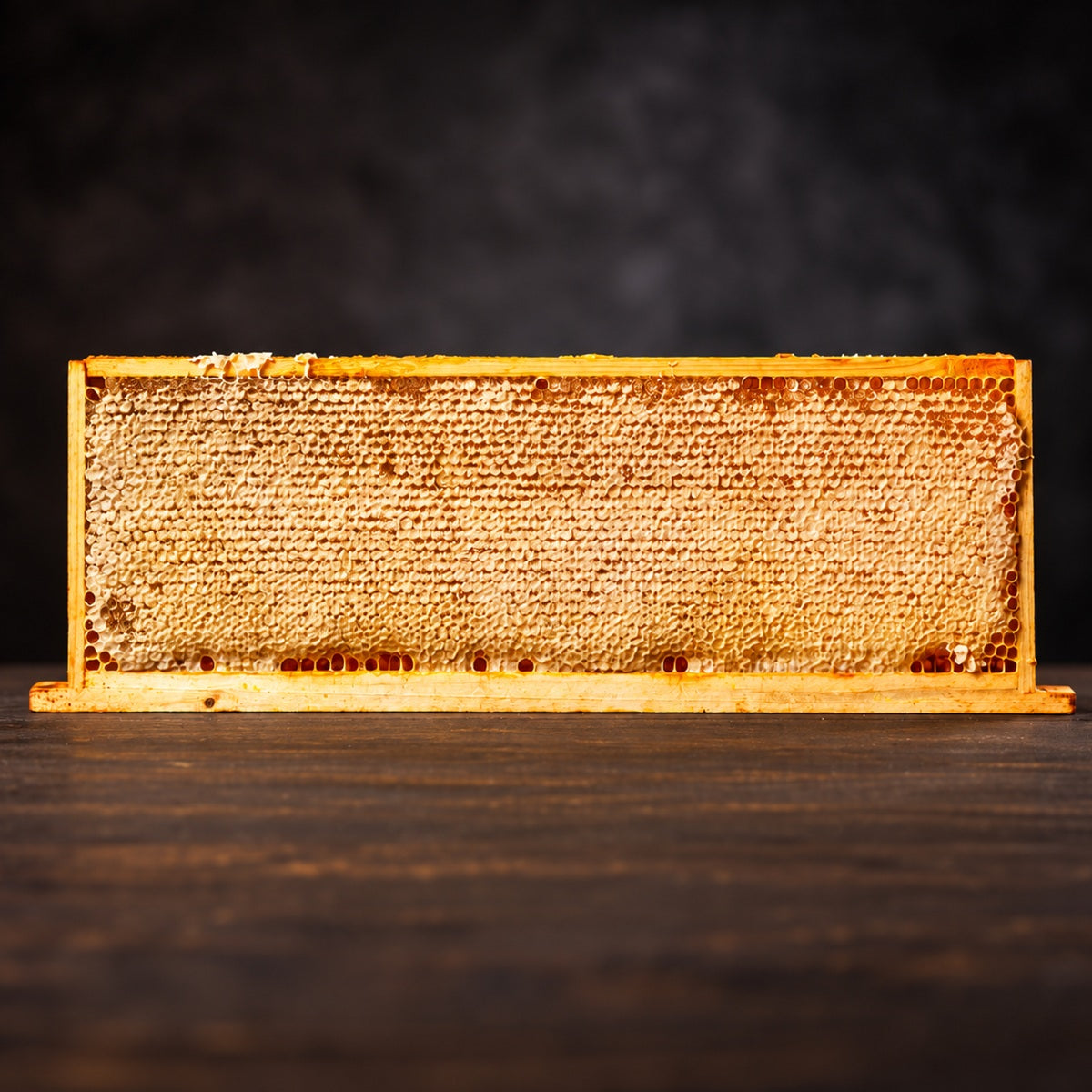 A full frame of fresh golden honeycomb straight from the bee hive.