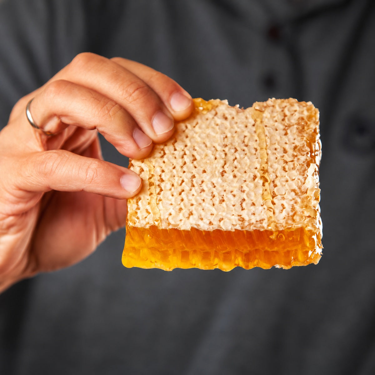 A piece of raw and chewy bee honeycomb from the hive.