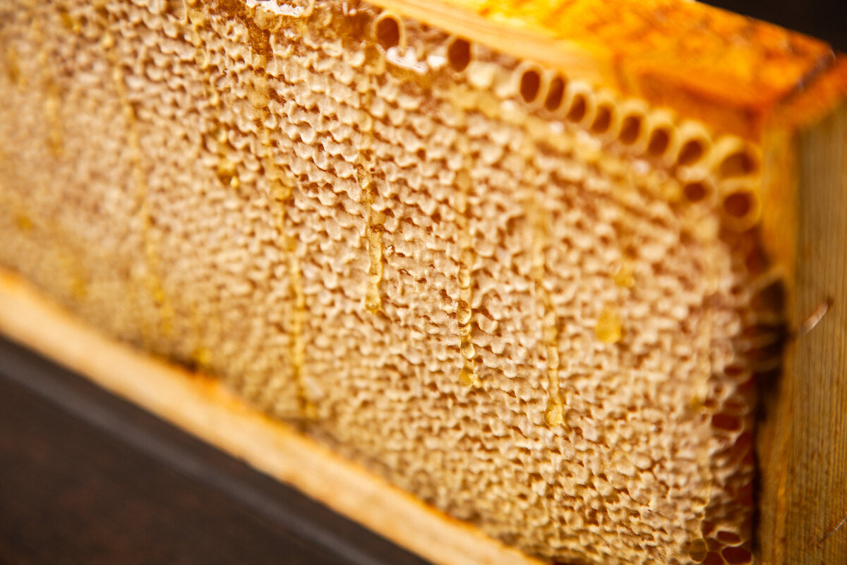 Raw fresh golden honeycomb straight from the bee hive.