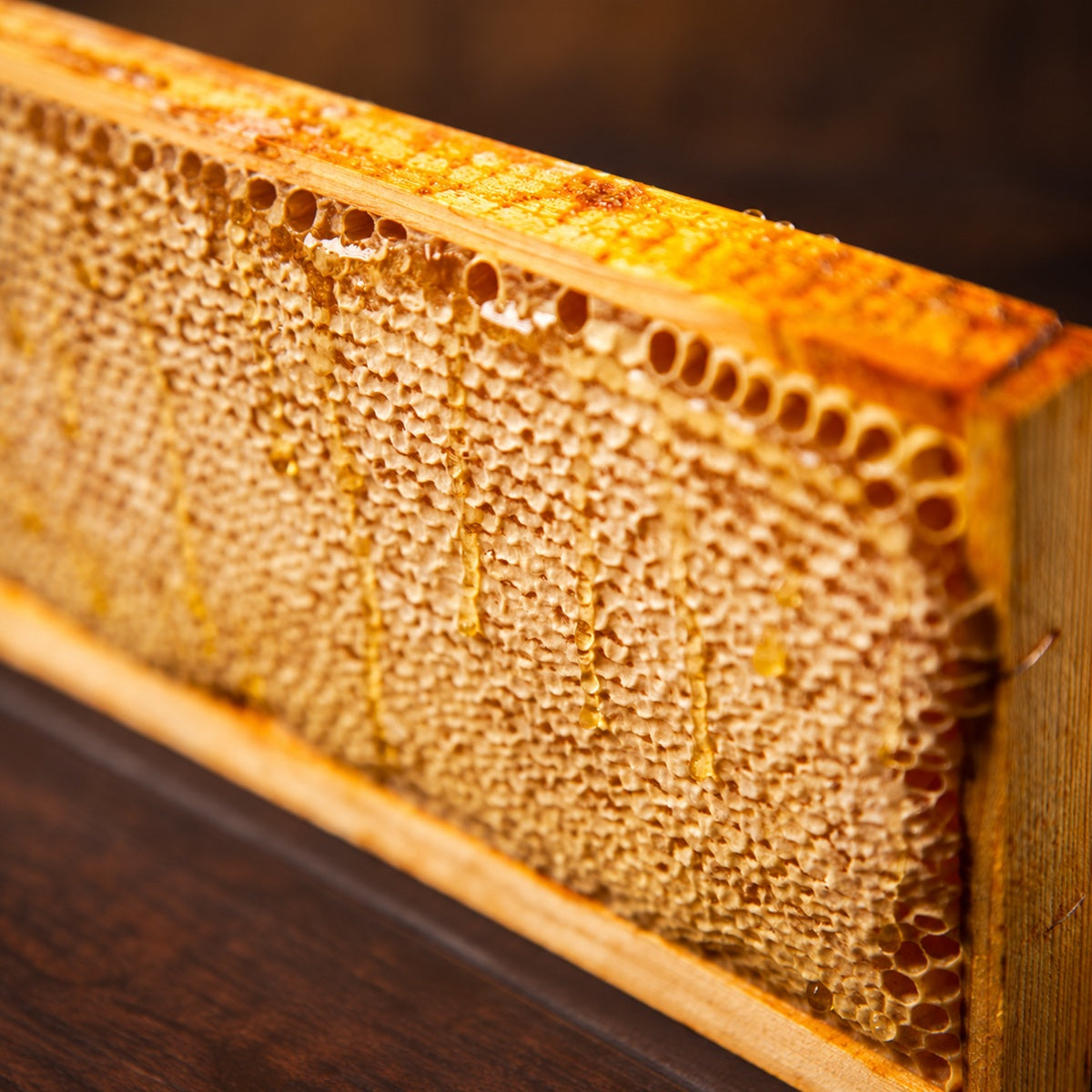 Raw fresh golden honeycomb straight from the bee hive.