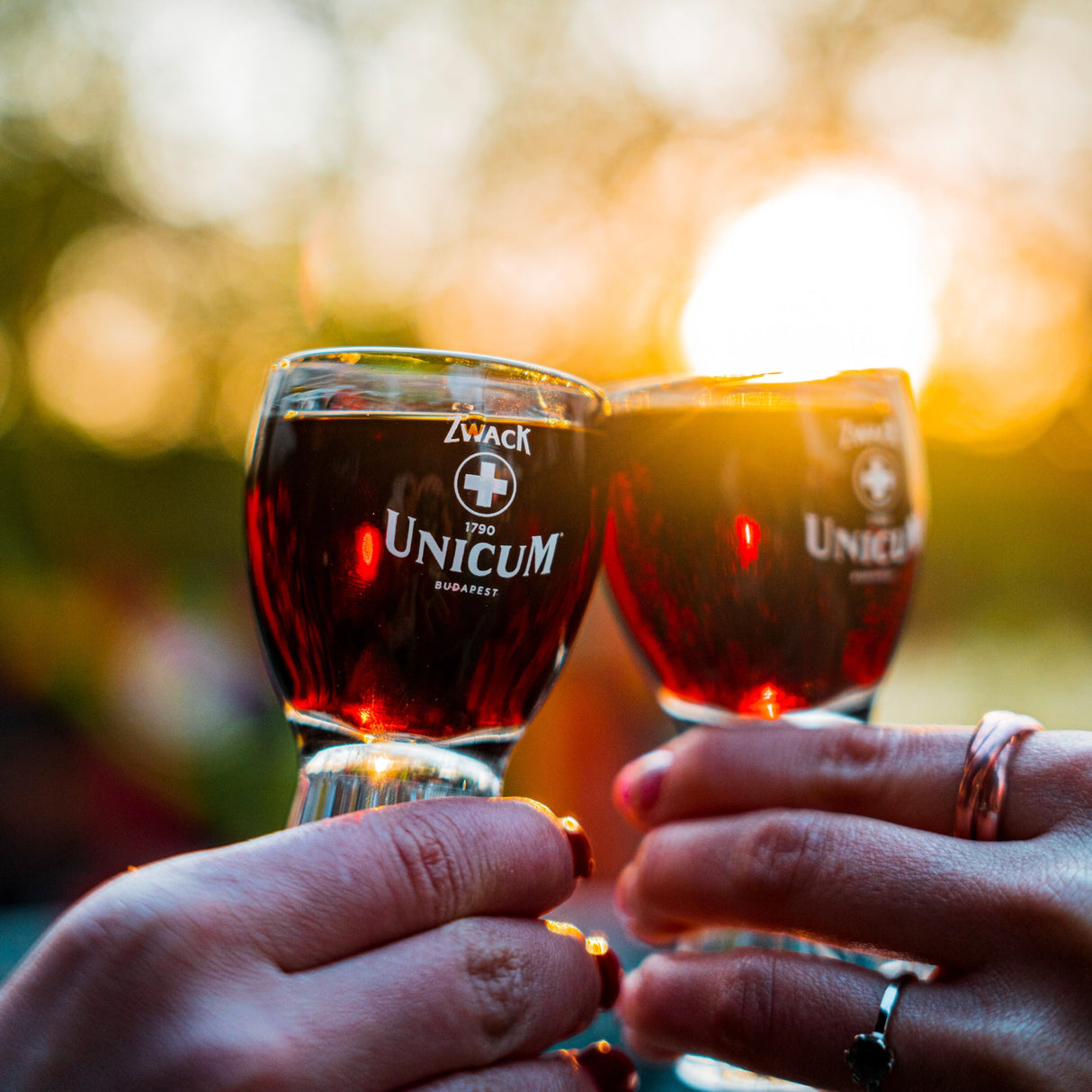 60ml shot glasses filled with Hungarian Zwack Unicum spirit.