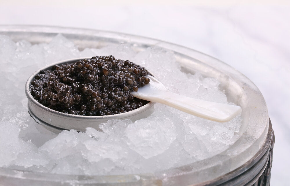 A tin of black caviar on ice with a mother of pearl spoon.