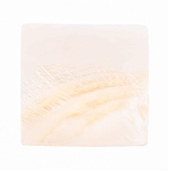 A mother of pearl plate for serving sushi.