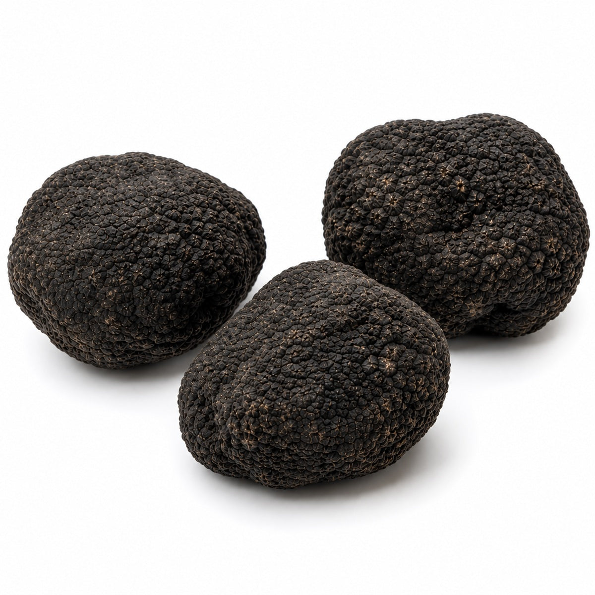 Three whole fresh black truffles of the summer truffle variety, arranged on a clean white background.
