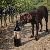 Dog sniffing a bottle of wine labeled 'Labrador' in a vineyard setting.