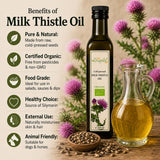 Infographic showing the benefits of using milk thistle oil.
