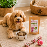 Dog lying on a rug with a bowl of food, a pink ball, and a package of Milk Thistle Powder.