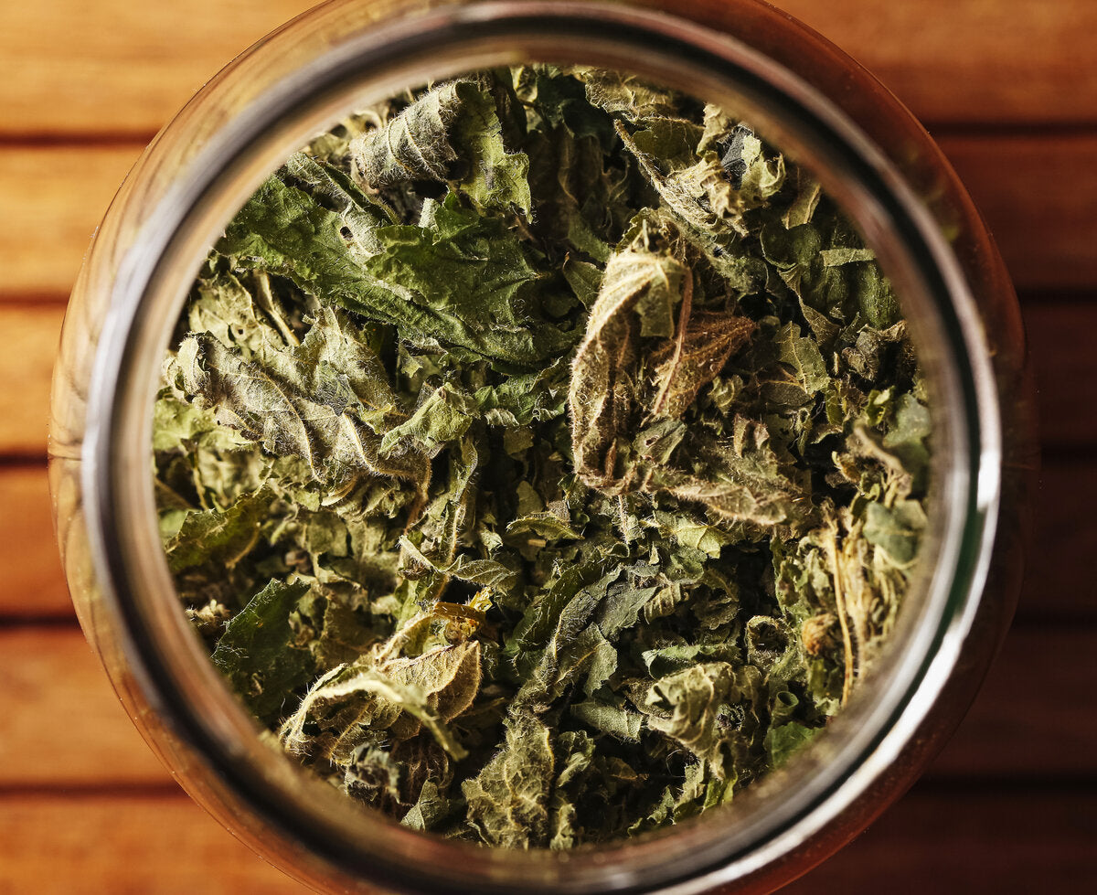Close-up of dried stinging nettle leaves in a glass jar on a wooden surface