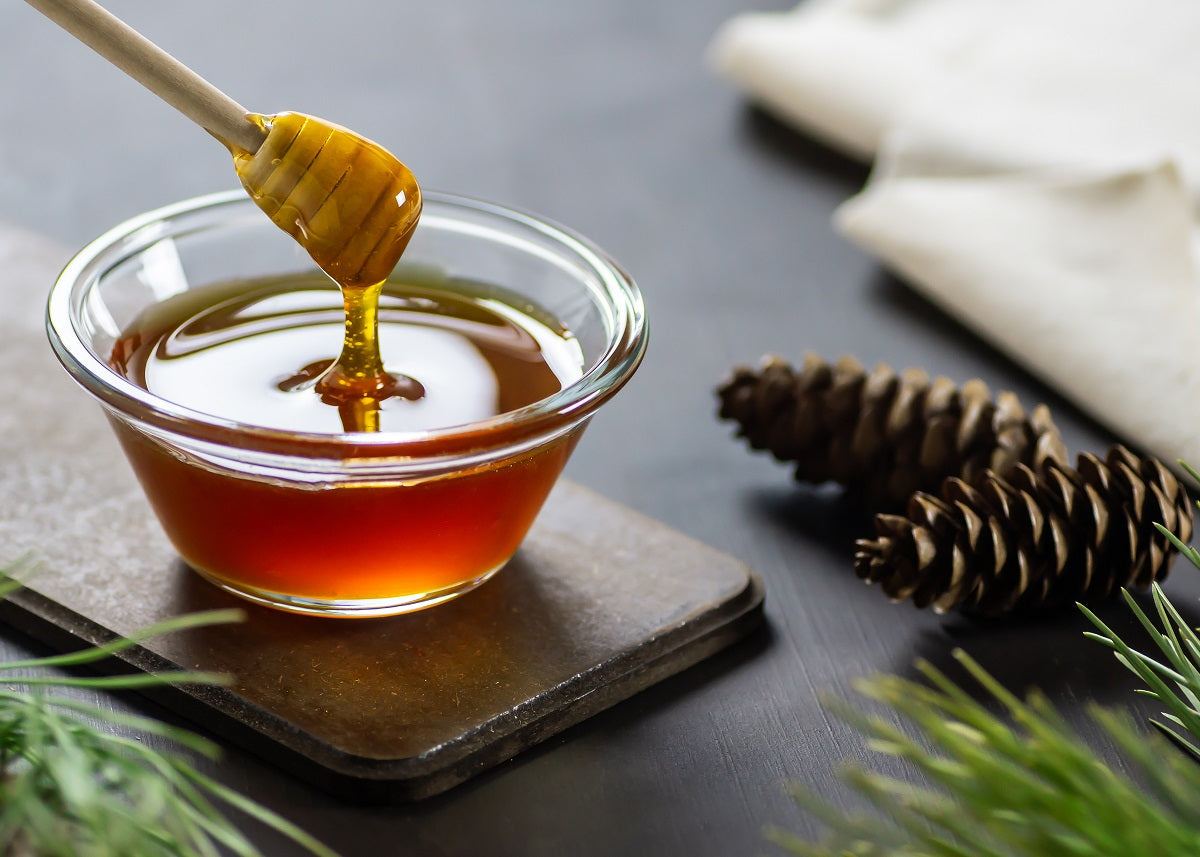 Pine honey from pine tree cones.