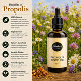 Infographic showing the benefits of using propolis and propolis tinctures.