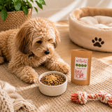 Dog lying on a rug with a bowl of food, a chew toy, and a package of Rosehip Powder.