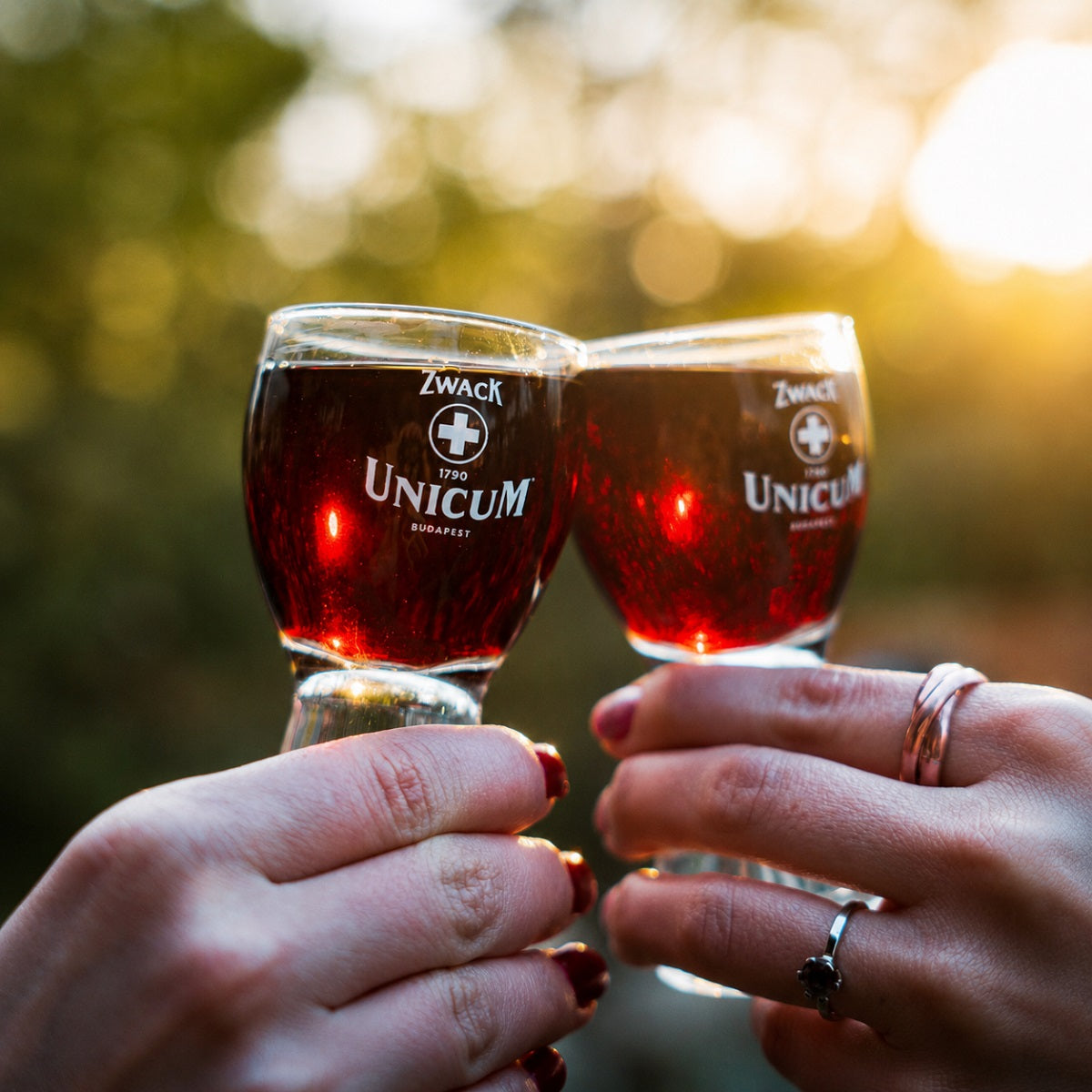 Zwack Unicum Shot Glass