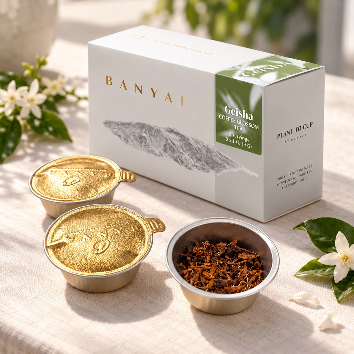 Geisha coffee blossom tea box with open and sealed individual portions.