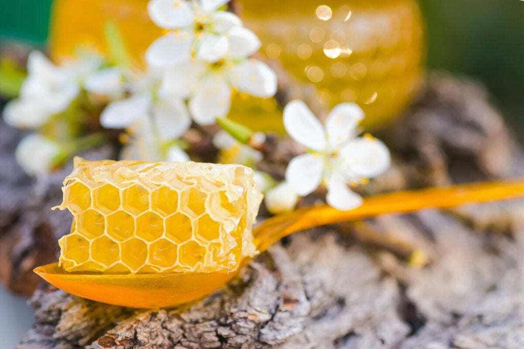 Acacia Honey with Honeycomb 500g - Best of Hungary